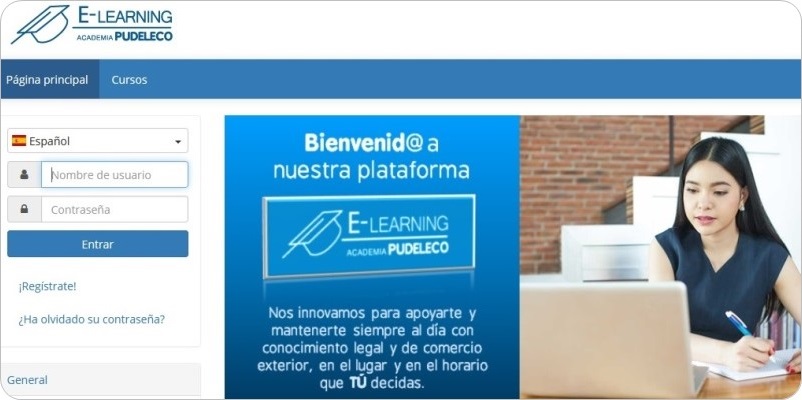 cursos de la academia para aprendizaje en linea